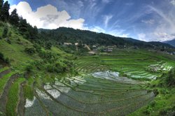 田の湖