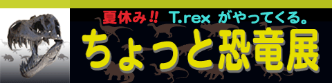 ƋW
