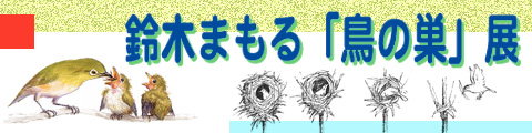 鈴木まもる鳥の巣展、2007年7月14日から8月19日まで、横芝光町立図書館2階ギャラリーにて開催