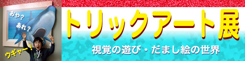 トリックアート展・・・2008年1月5日から2月17日開催・場所・横芝光町立図書館ギャラリー