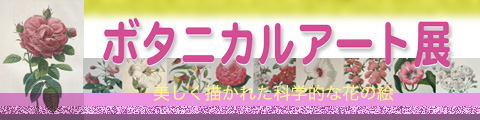 ボタニカルアート展・・・2008年2月24日から3月30日開催・場所・横芝光町立図書館ギャラリー